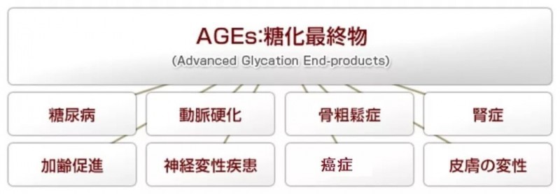 渐成热潮的“抗糖化（AGEs）”市场及山竹的抗糖化效果